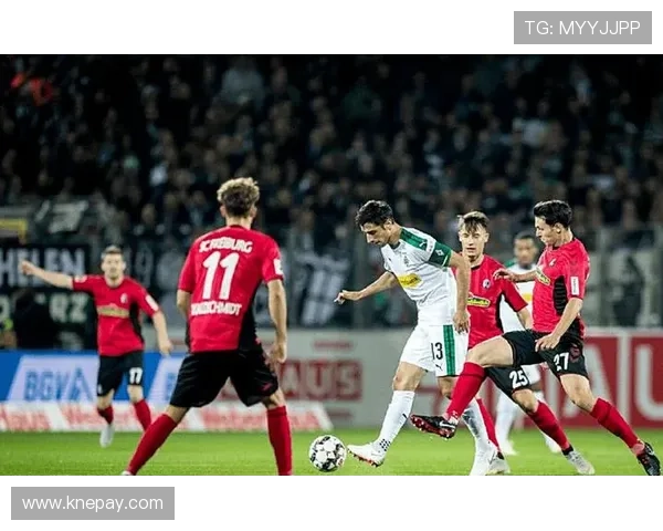 弗赖堡俱乐部新赛季备战全面启动主帅调整阵容力求德甲突破